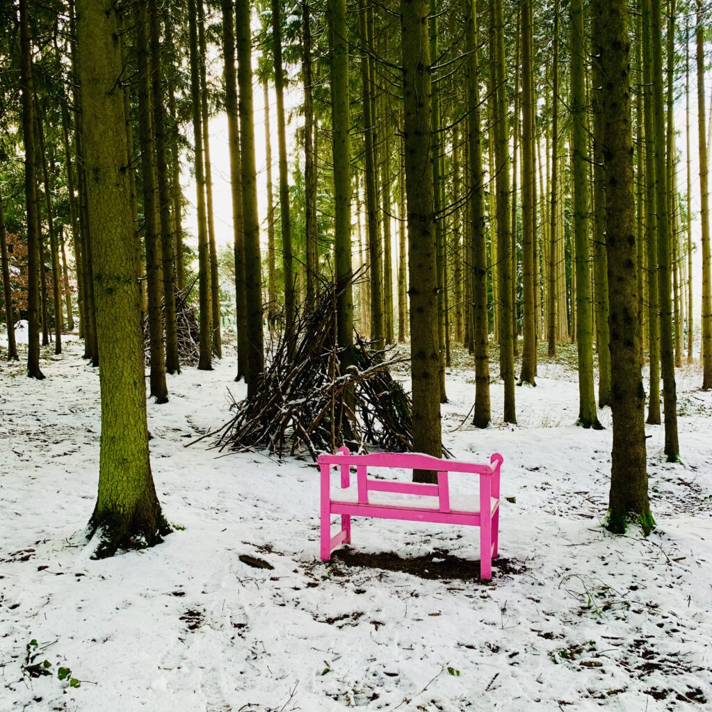 Rosa Bank im Wald