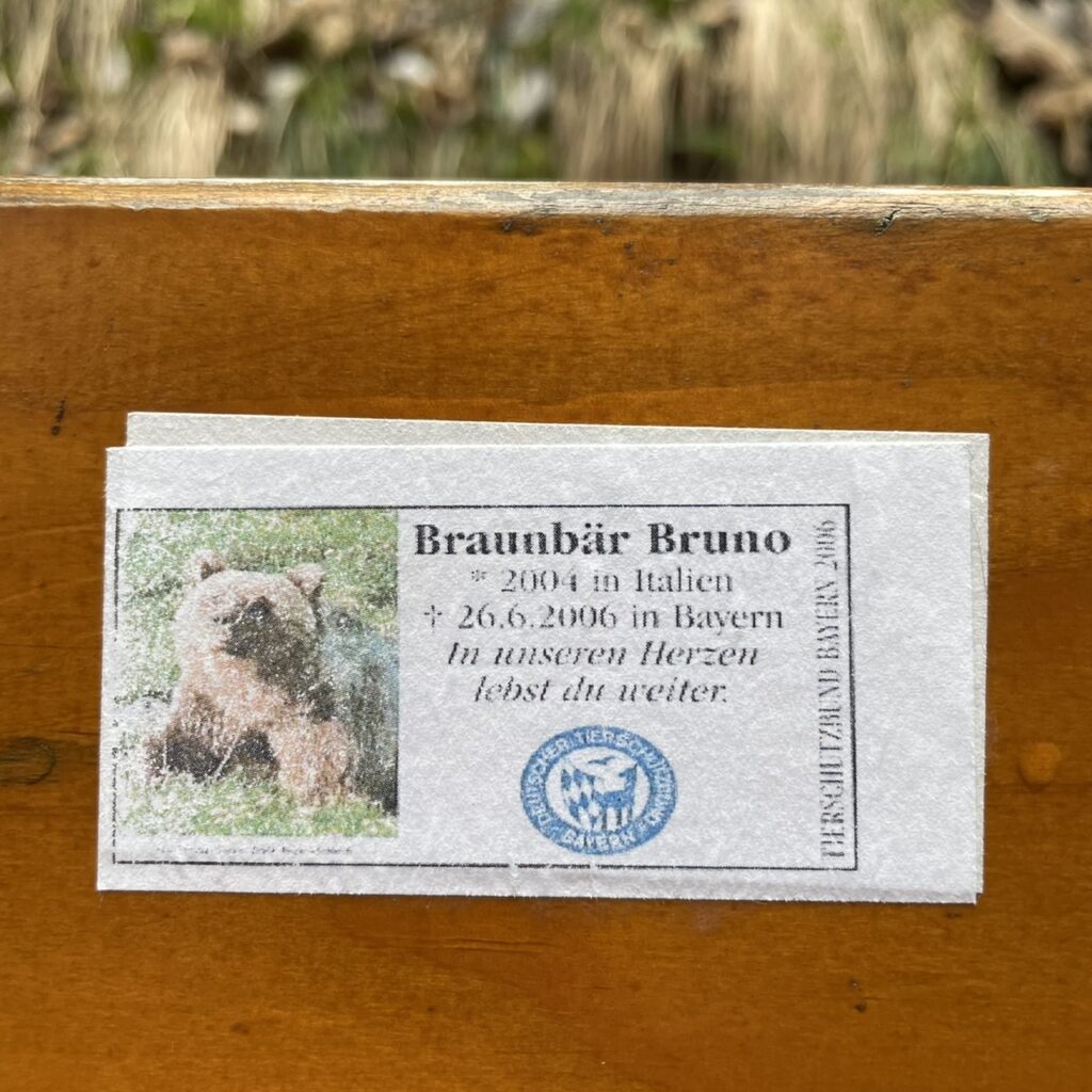Braunbär Bruno