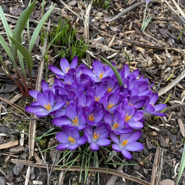 Frühling geht los