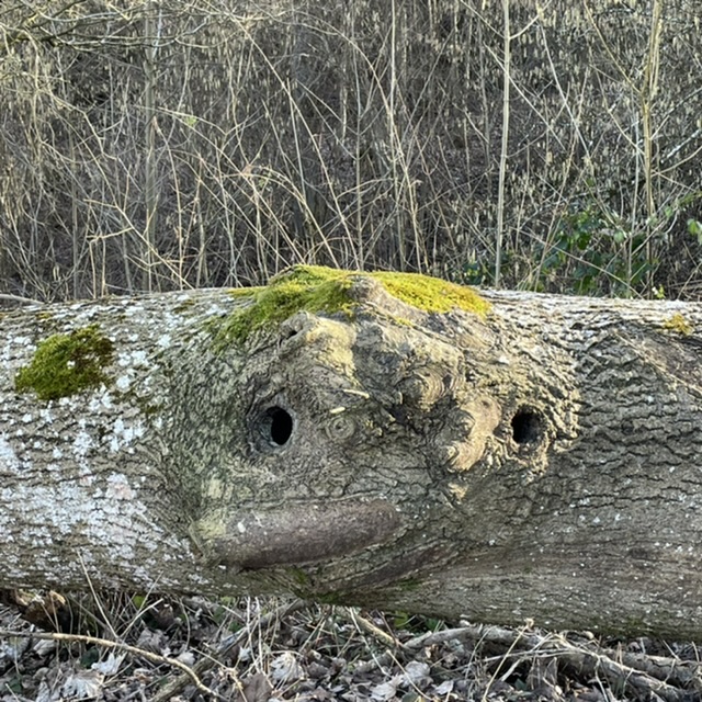 Aus Versehen Gesicht